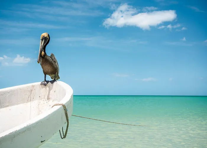 Holbox Island Casa Impala